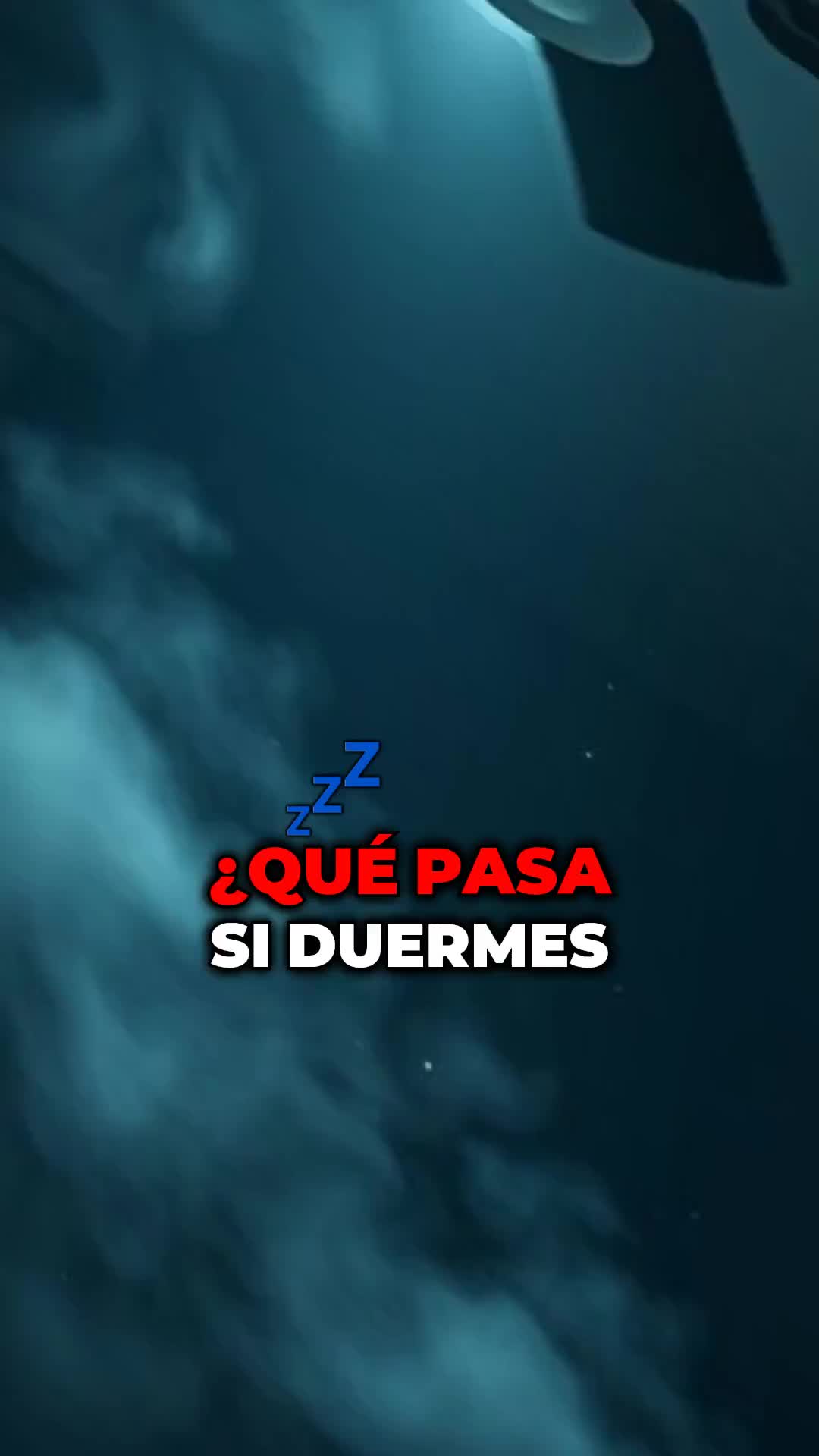 @mundo.desmadre