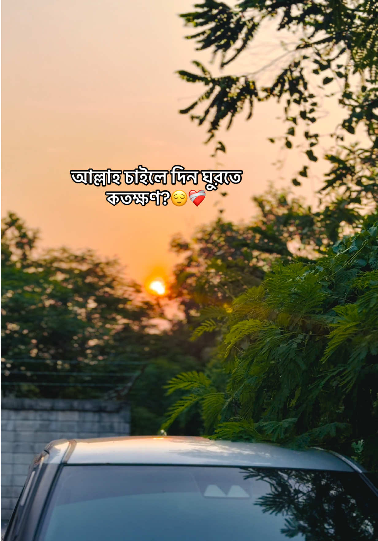@आईएएन ┊🐥