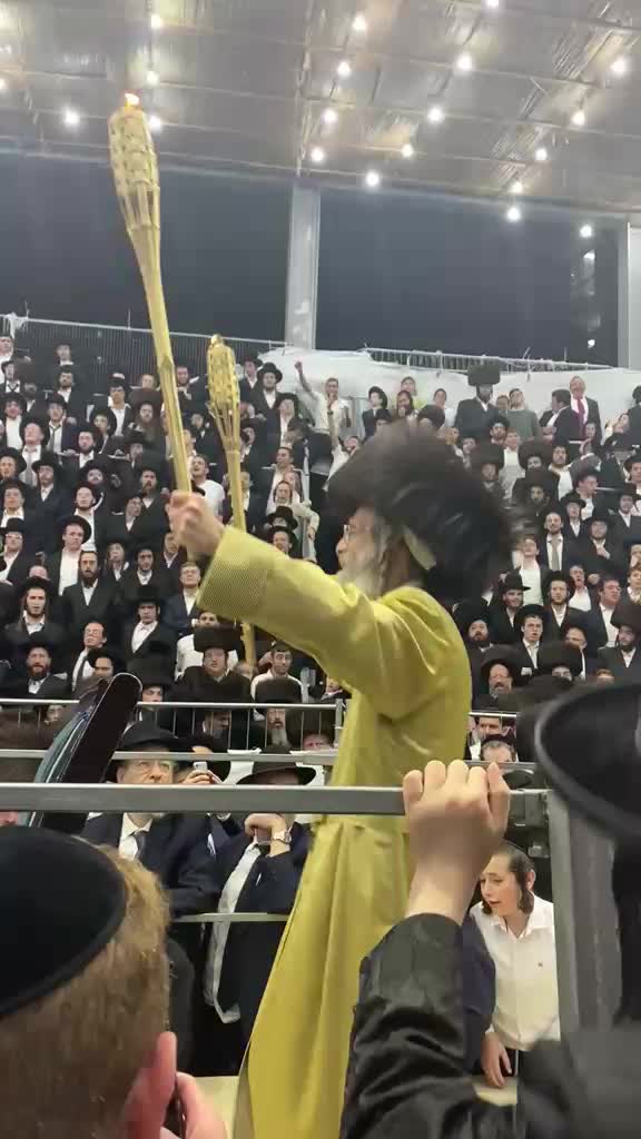 @Shita Hakdosha