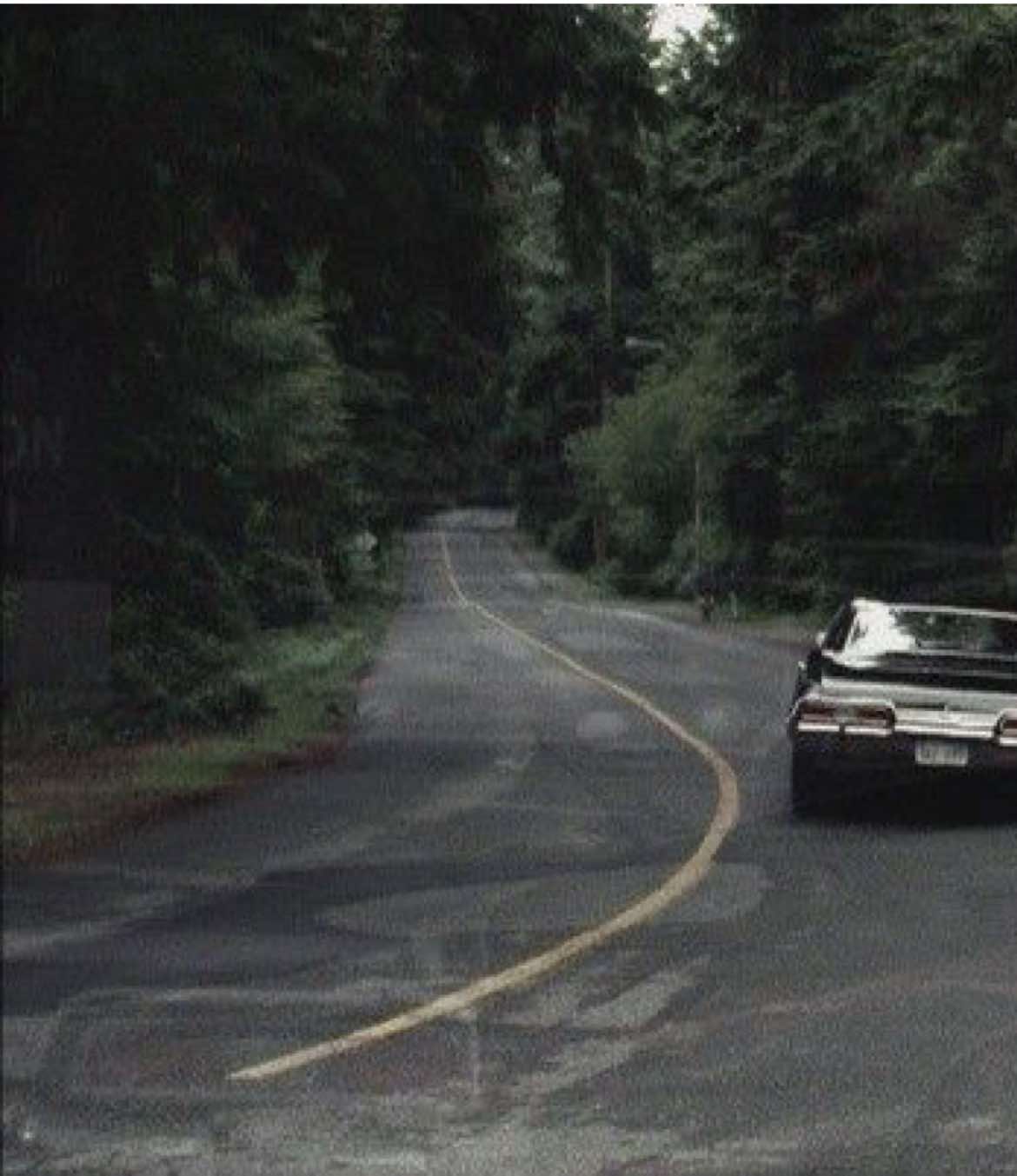 @baby🦌.ೃ࿔