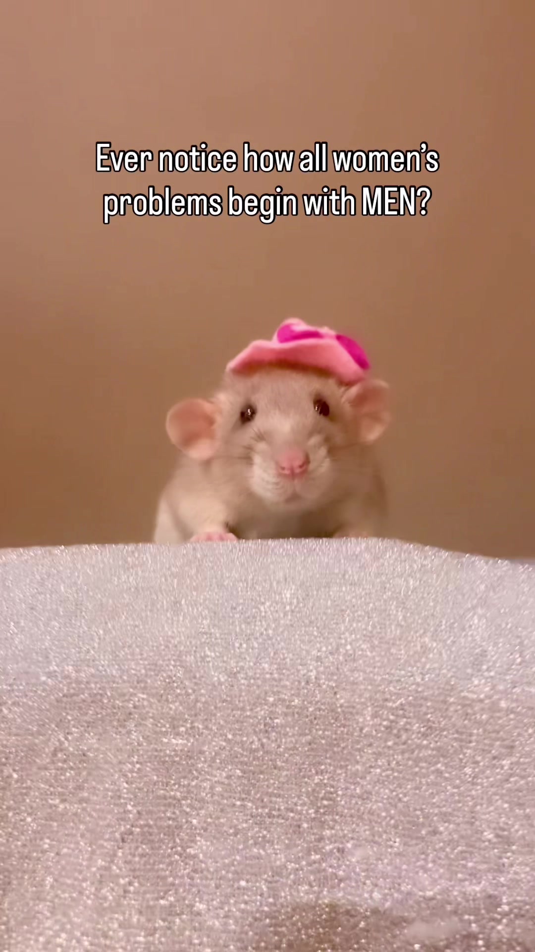 @RatsHaveFeelingsToo