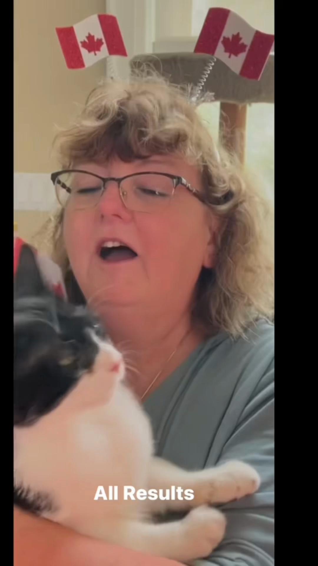 @North Toronto Cat Rescue