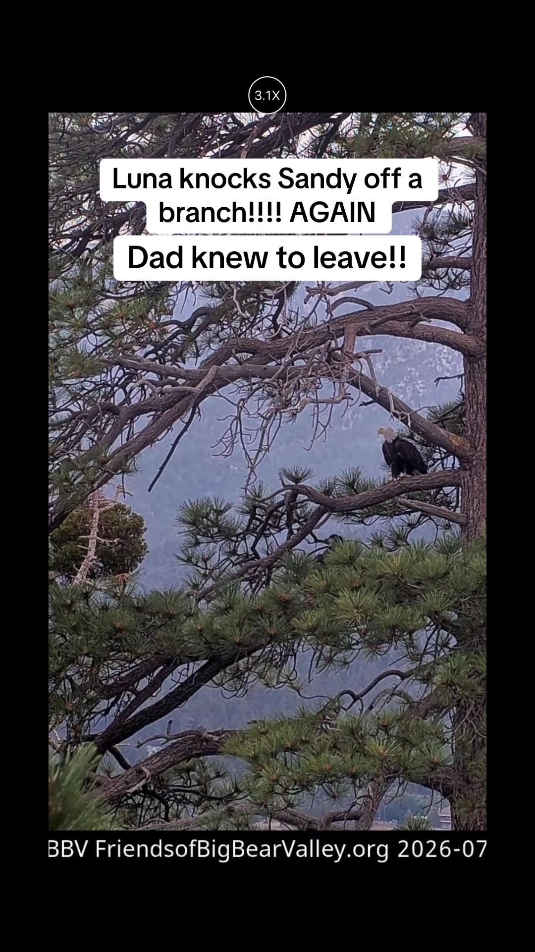 @Holly’s Dad
