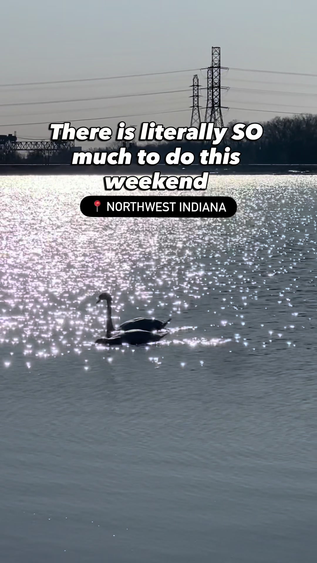 @liveNWI