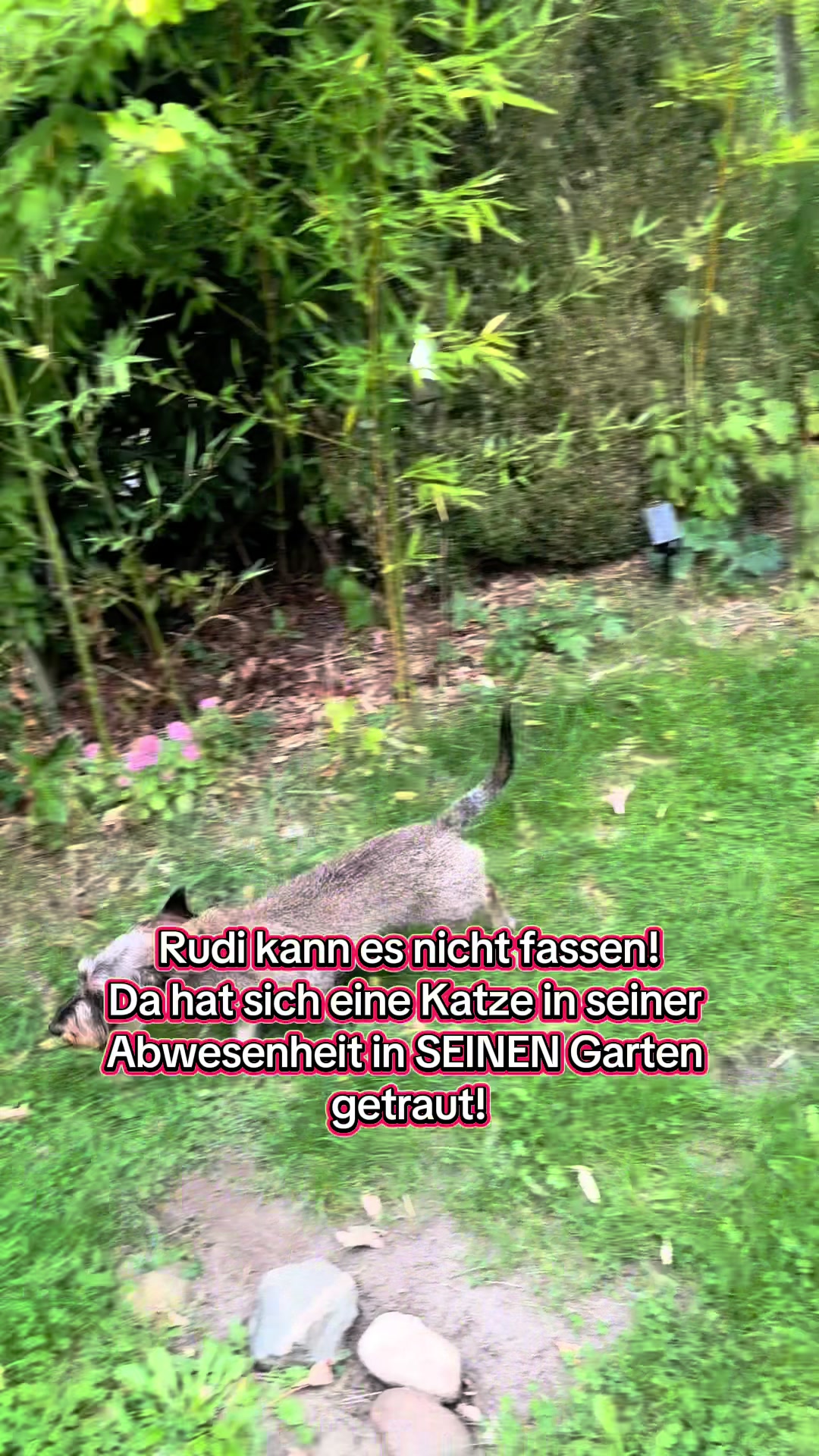 @Ichschützekinderundtiere