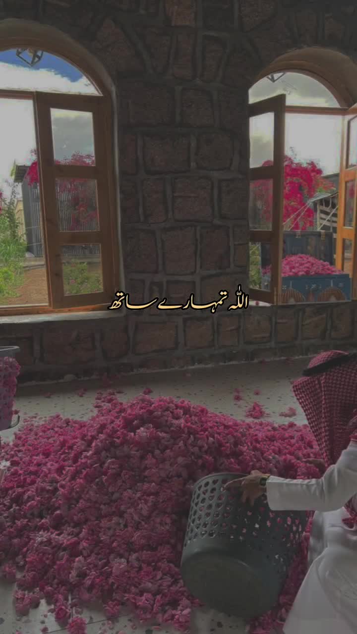 @⋆ 𐙚˚࿔🎀 ZIAH 🎀𝐞 𝜗𝜚