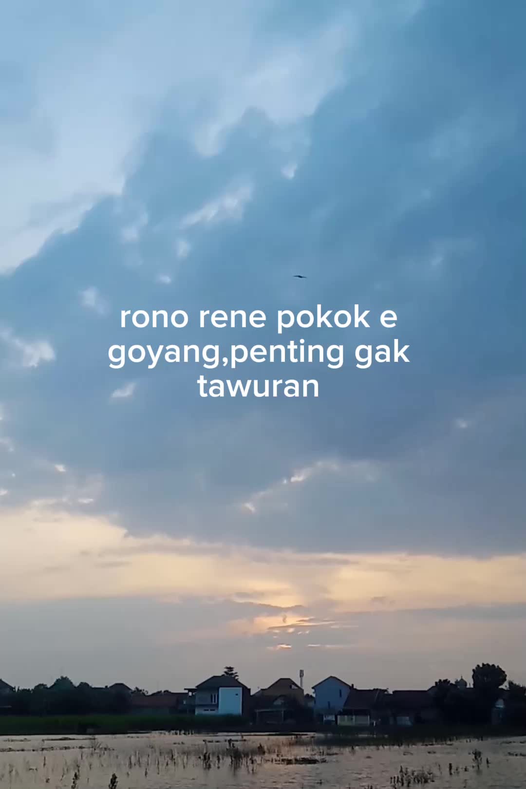 @pocarisweet⛎