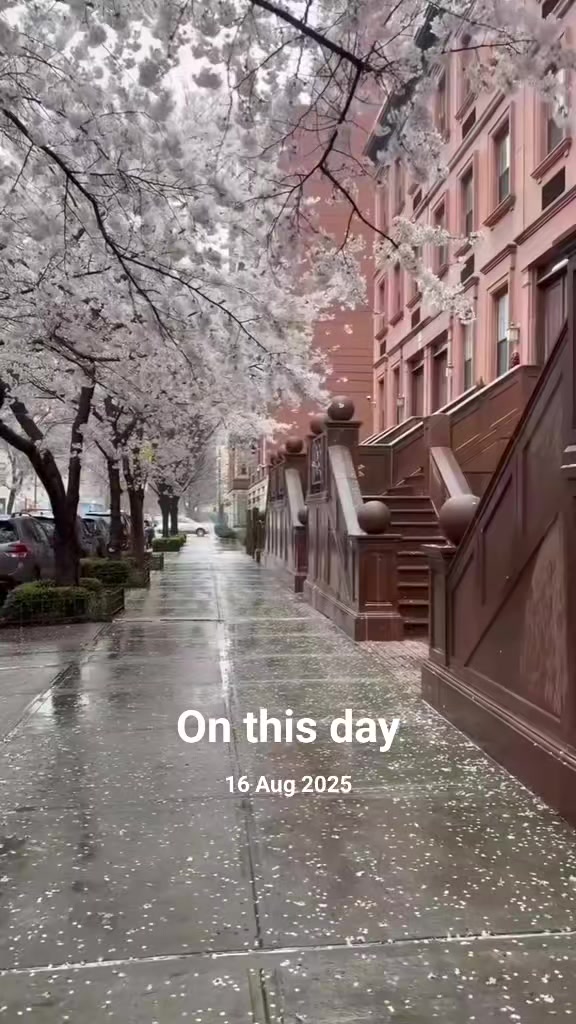 @Nasriinbaby