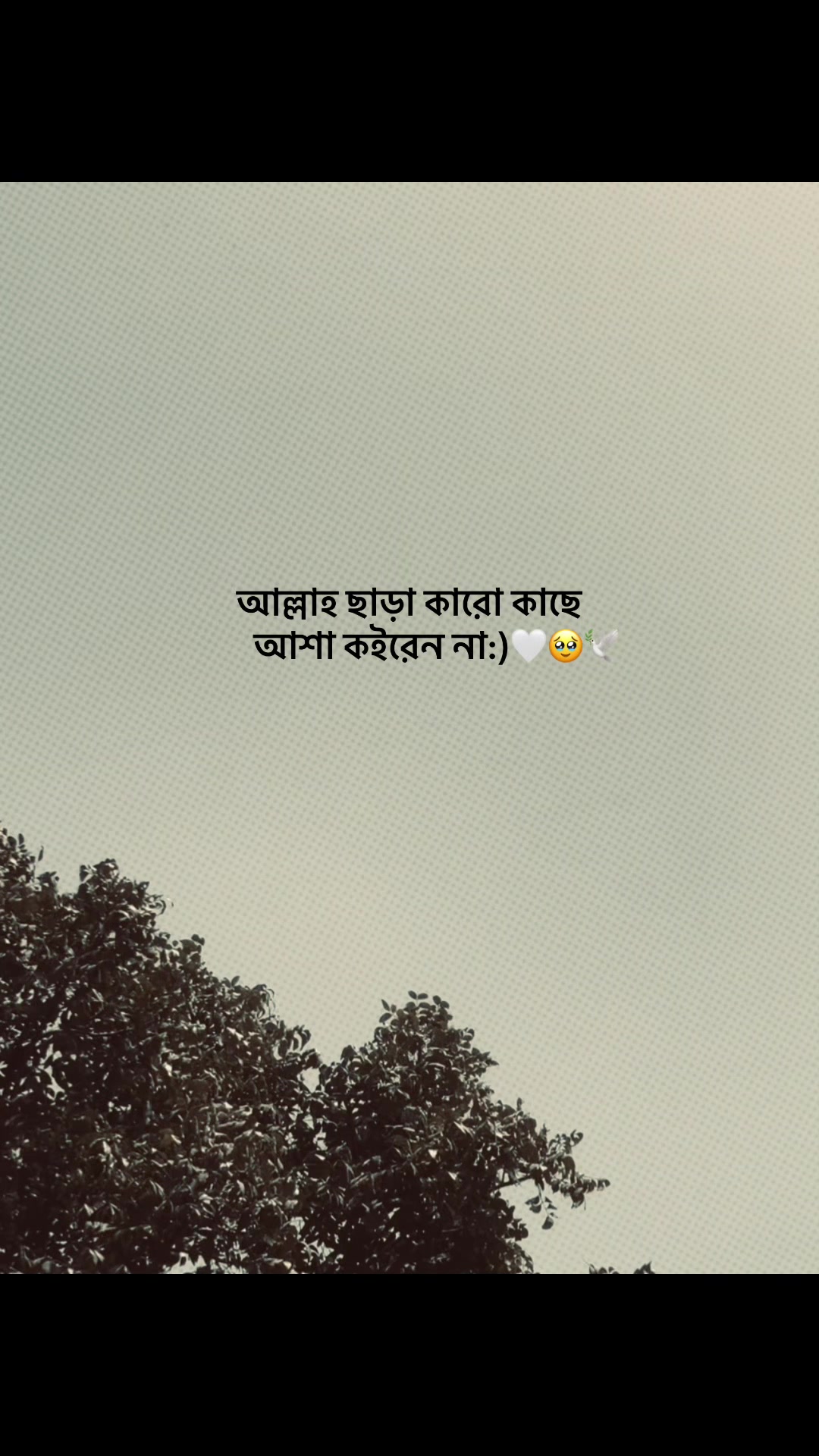@NOTE LINE 🚩