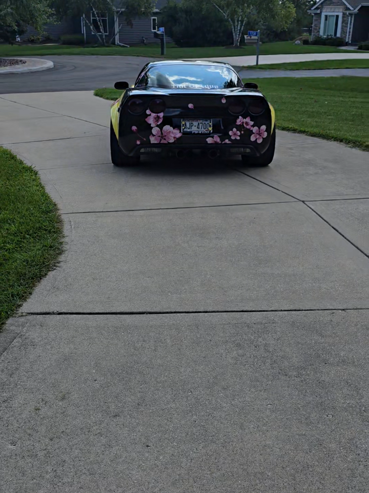 @AnimeVette
