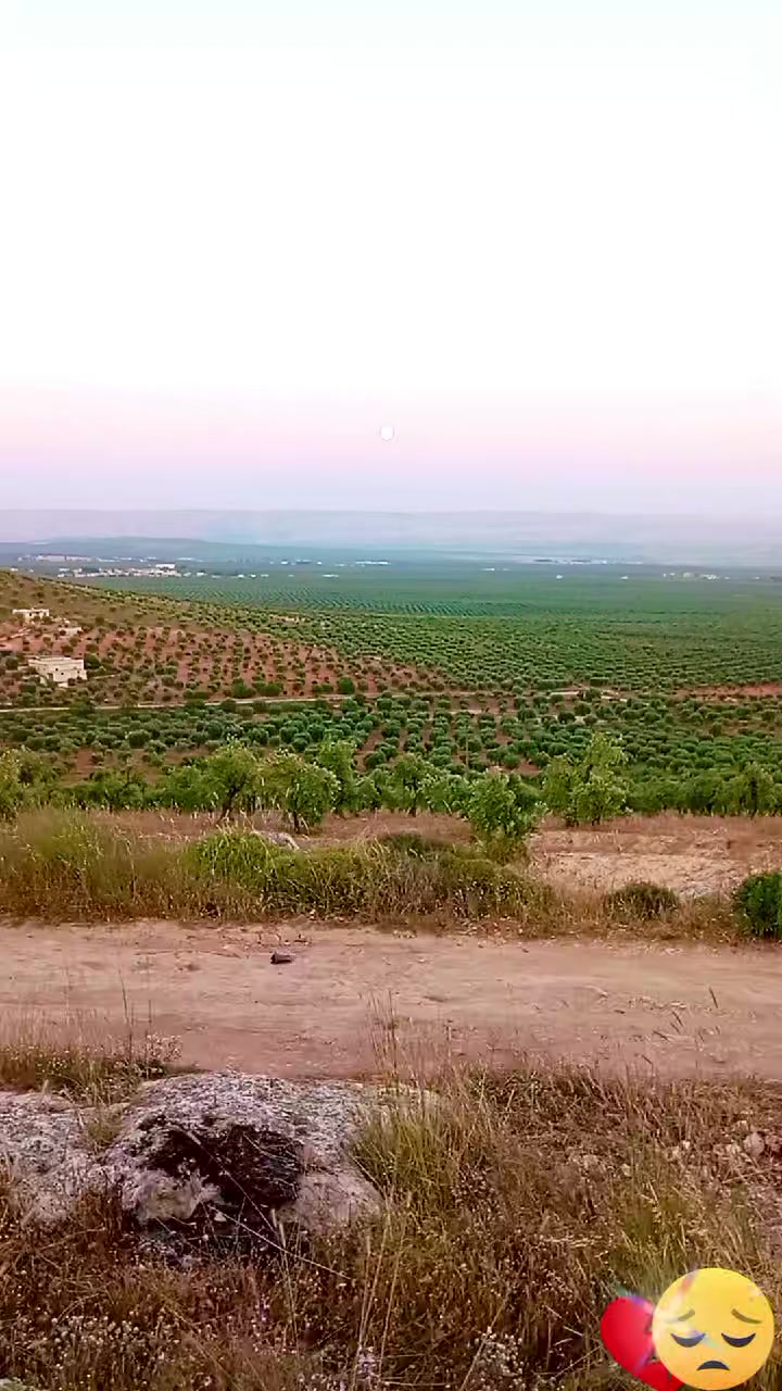@رونيارا عفريني