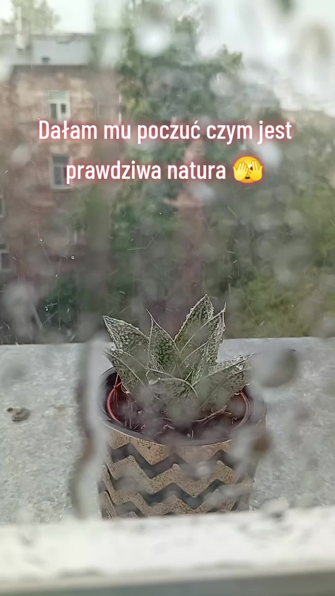@Sakcia07