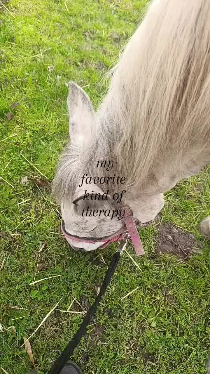 @Hazel_spamacc