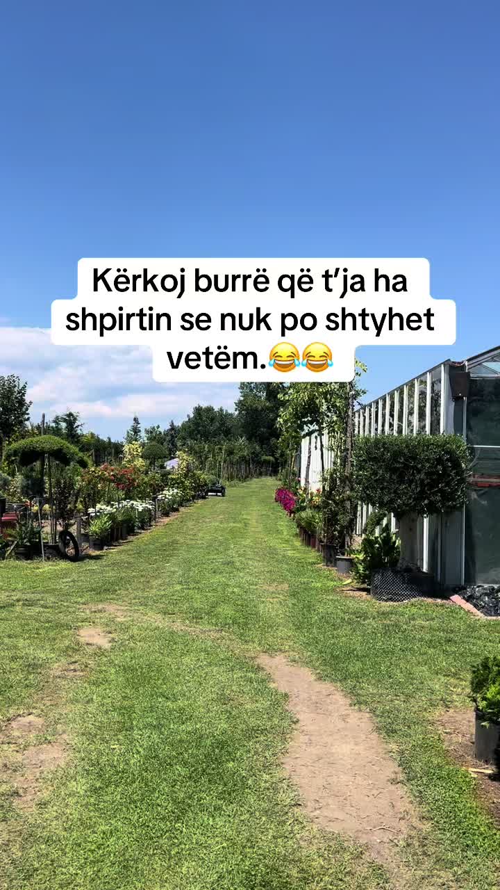 @eni_21s