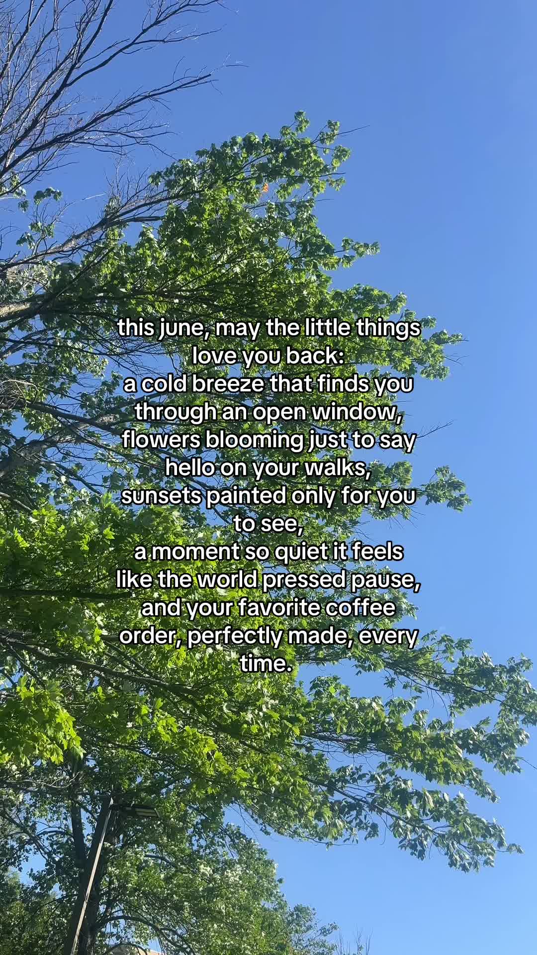 @liza♡