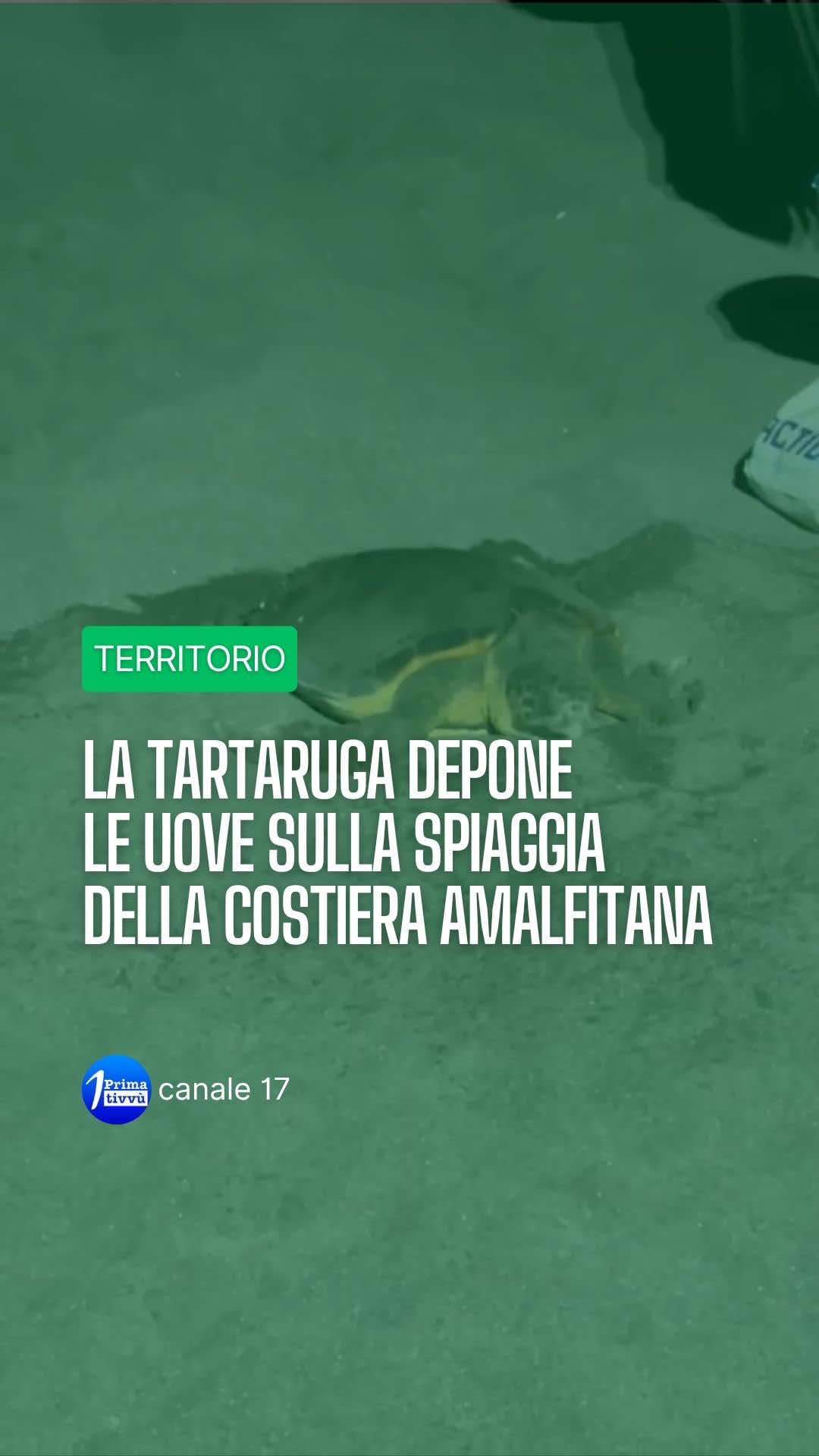@Prima Tivv&ugrave; - Canale 17