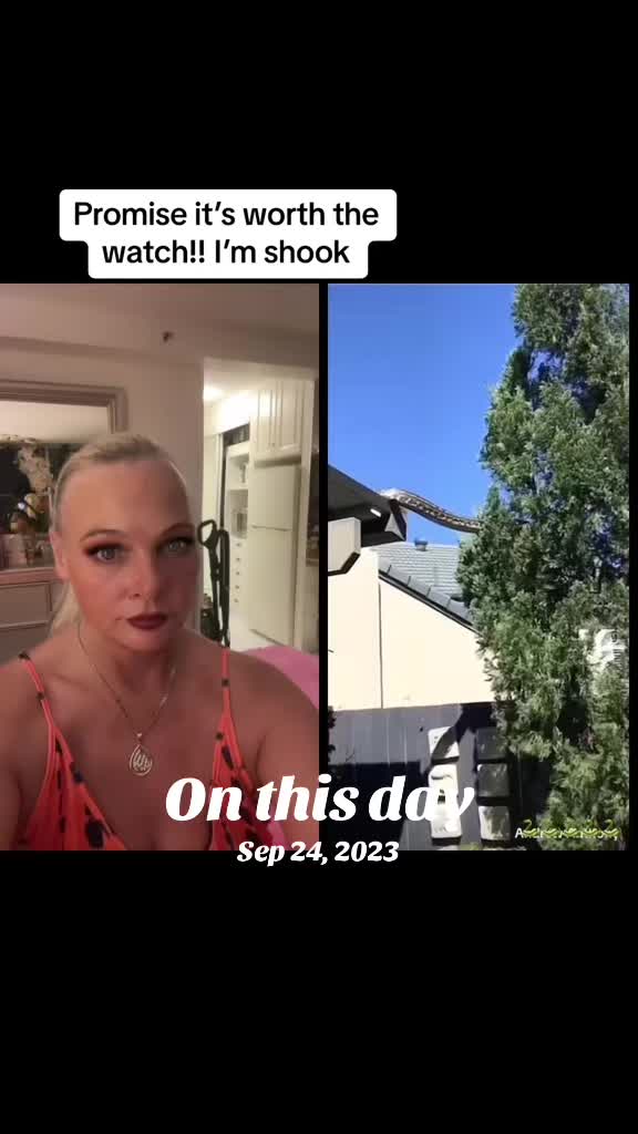 @TonyaAjwa0