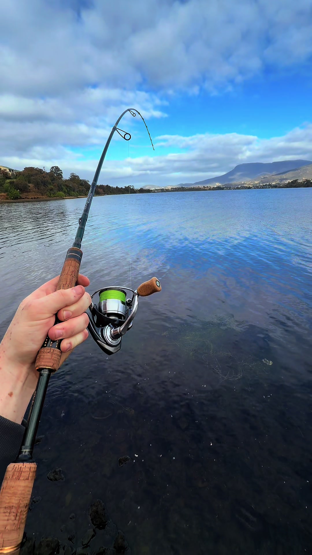 @fishing_southtas