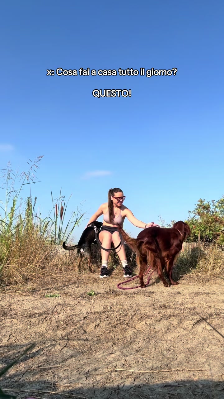 @Vittoriaveroni