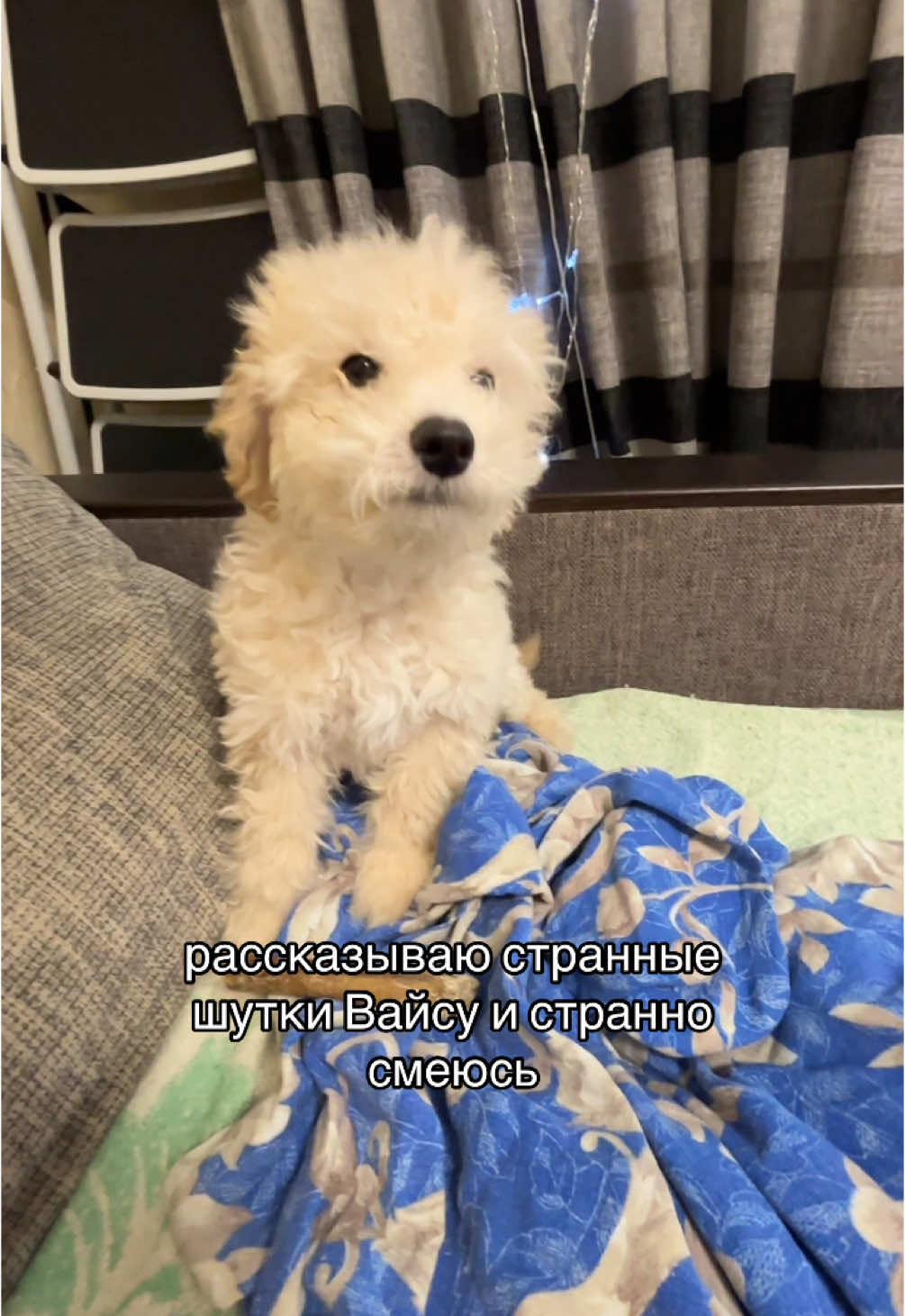 @лена пневма