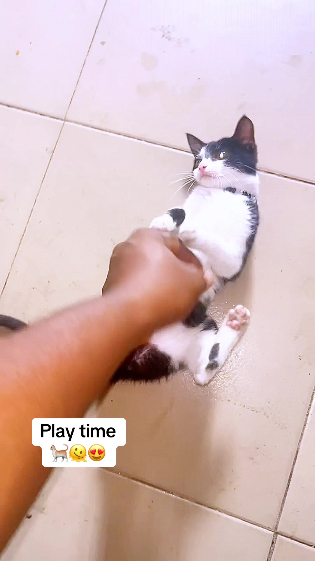 @Ambepaul