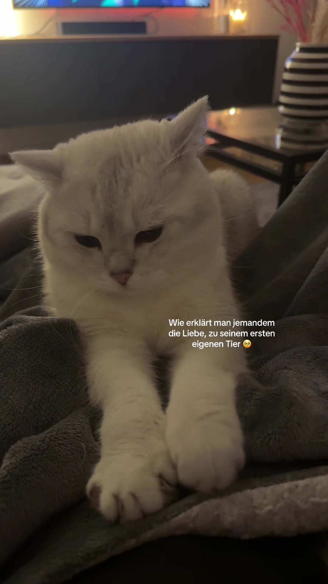 @Jo.hannahh