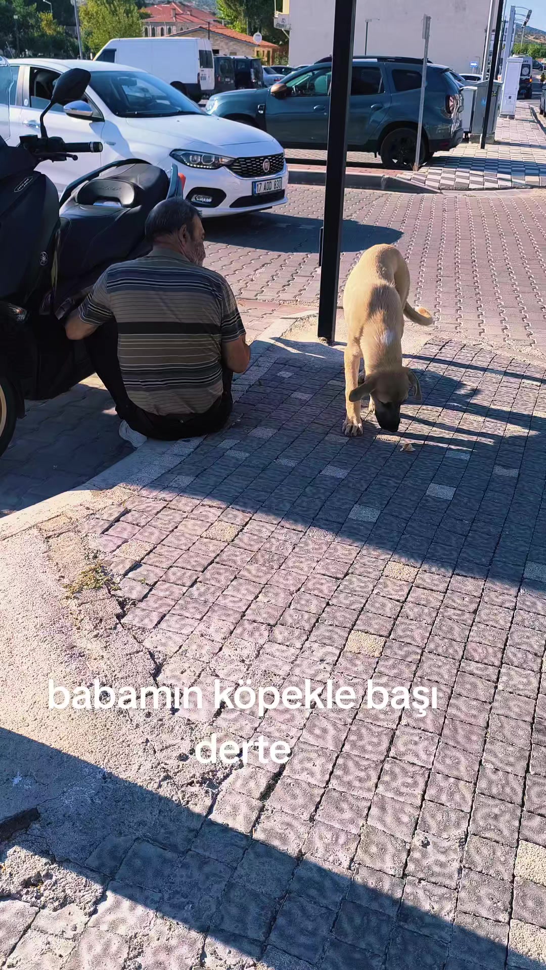 @༄🔱 ꧁🪽 𝐊İ𝐍𝐆 𝐘𝐀Ş𝐎🪽꧂🔱