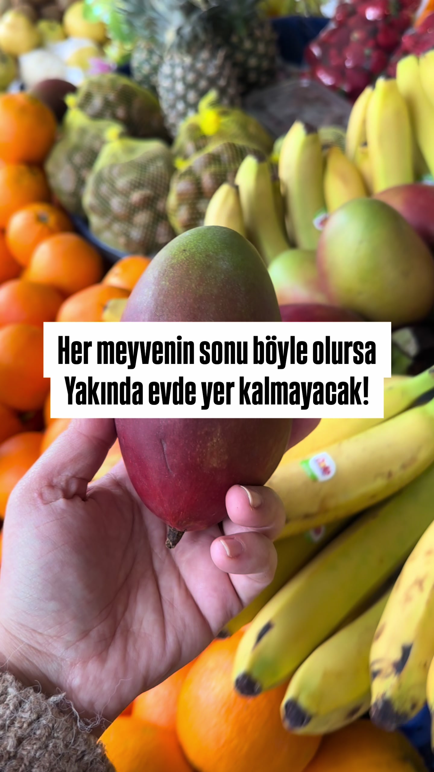 @yesillihanm