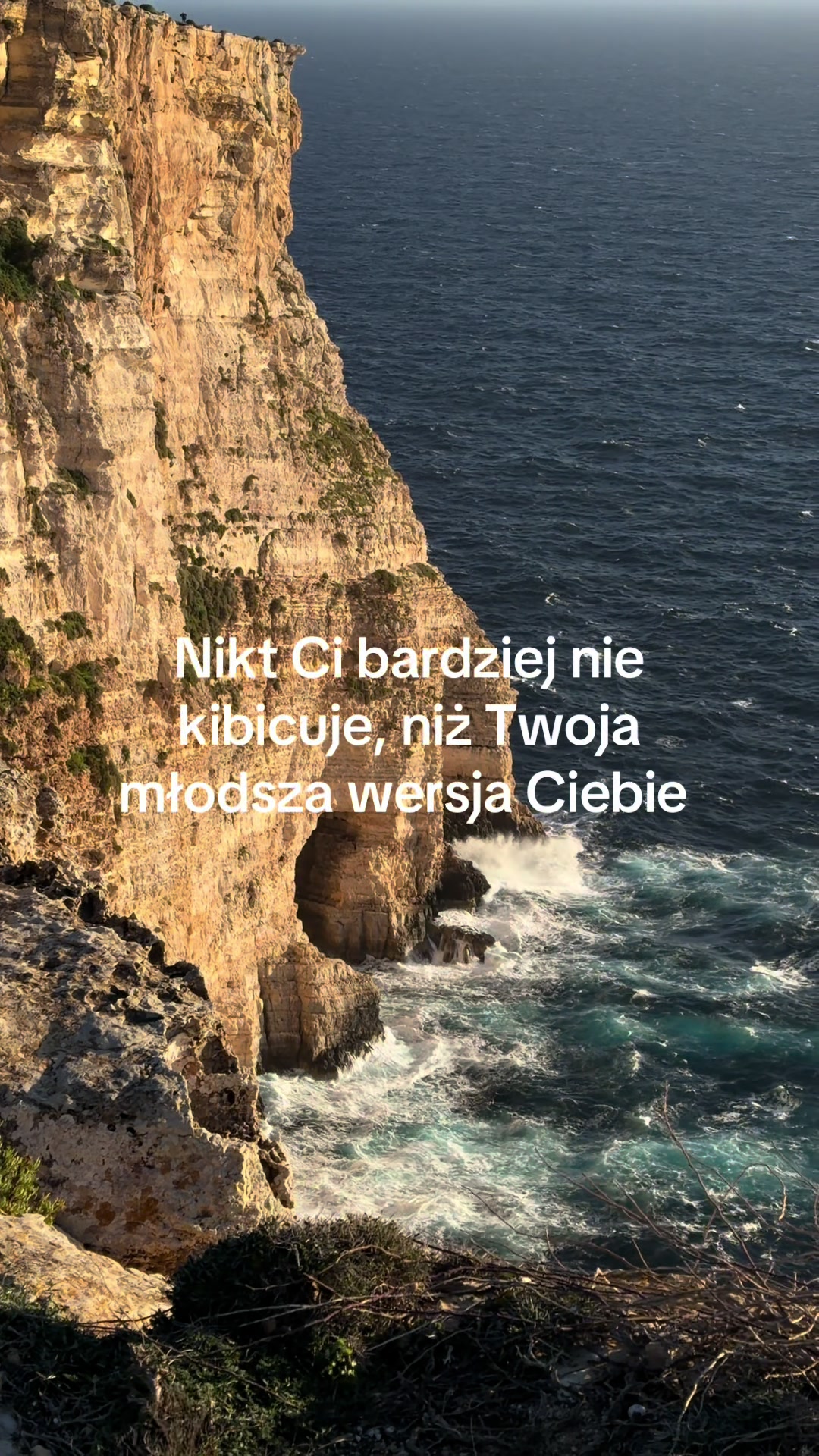 @Egolog