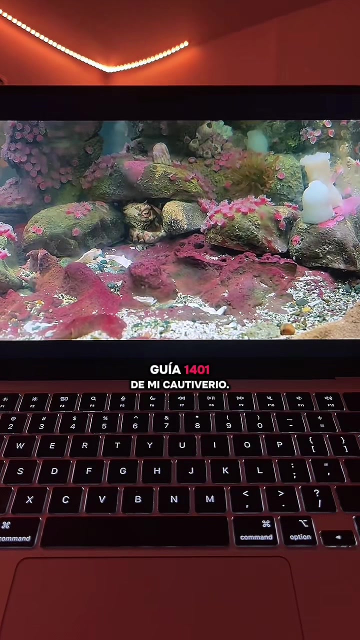 @donivanvelasquez5