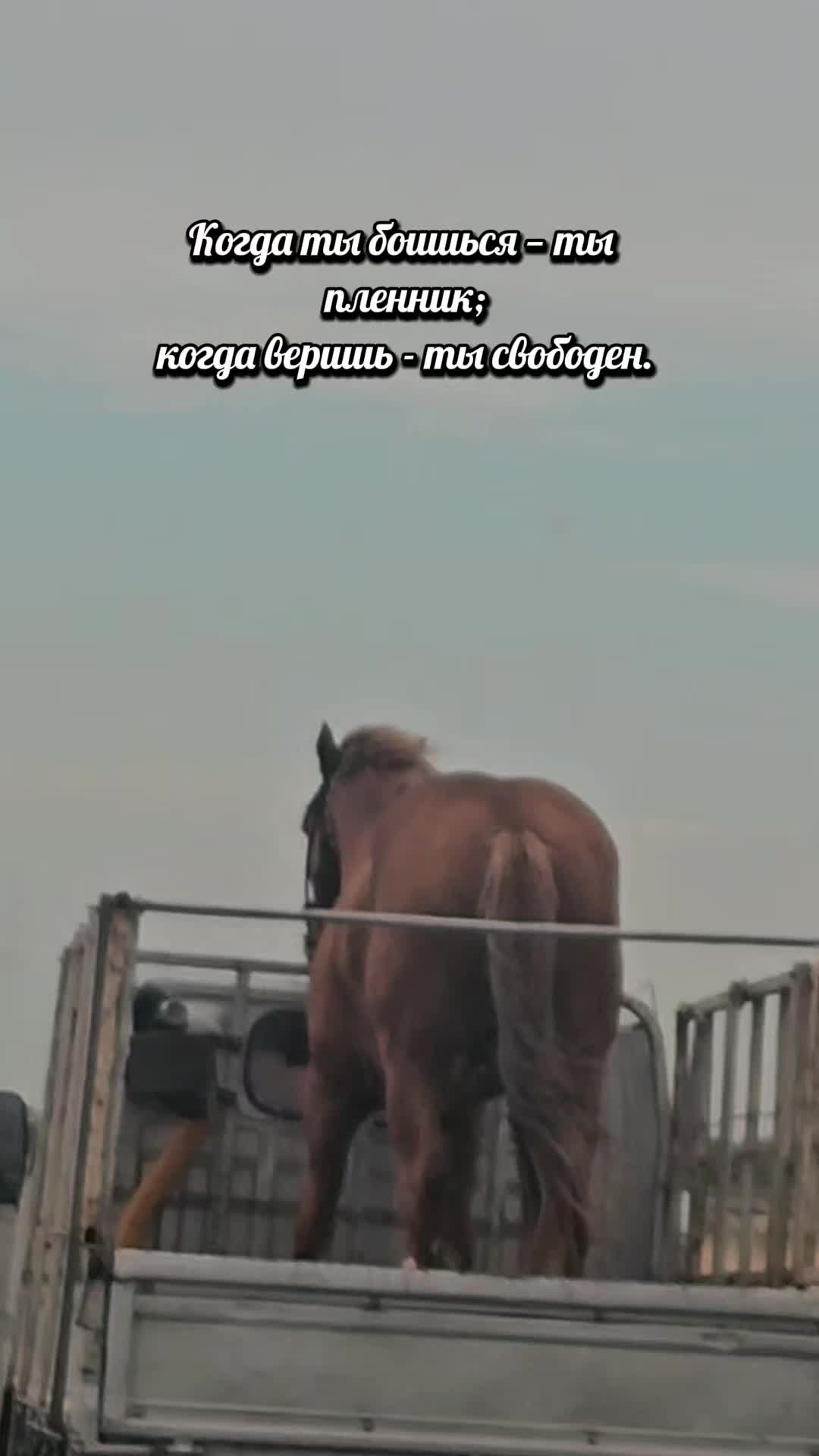 @НаталиЯ