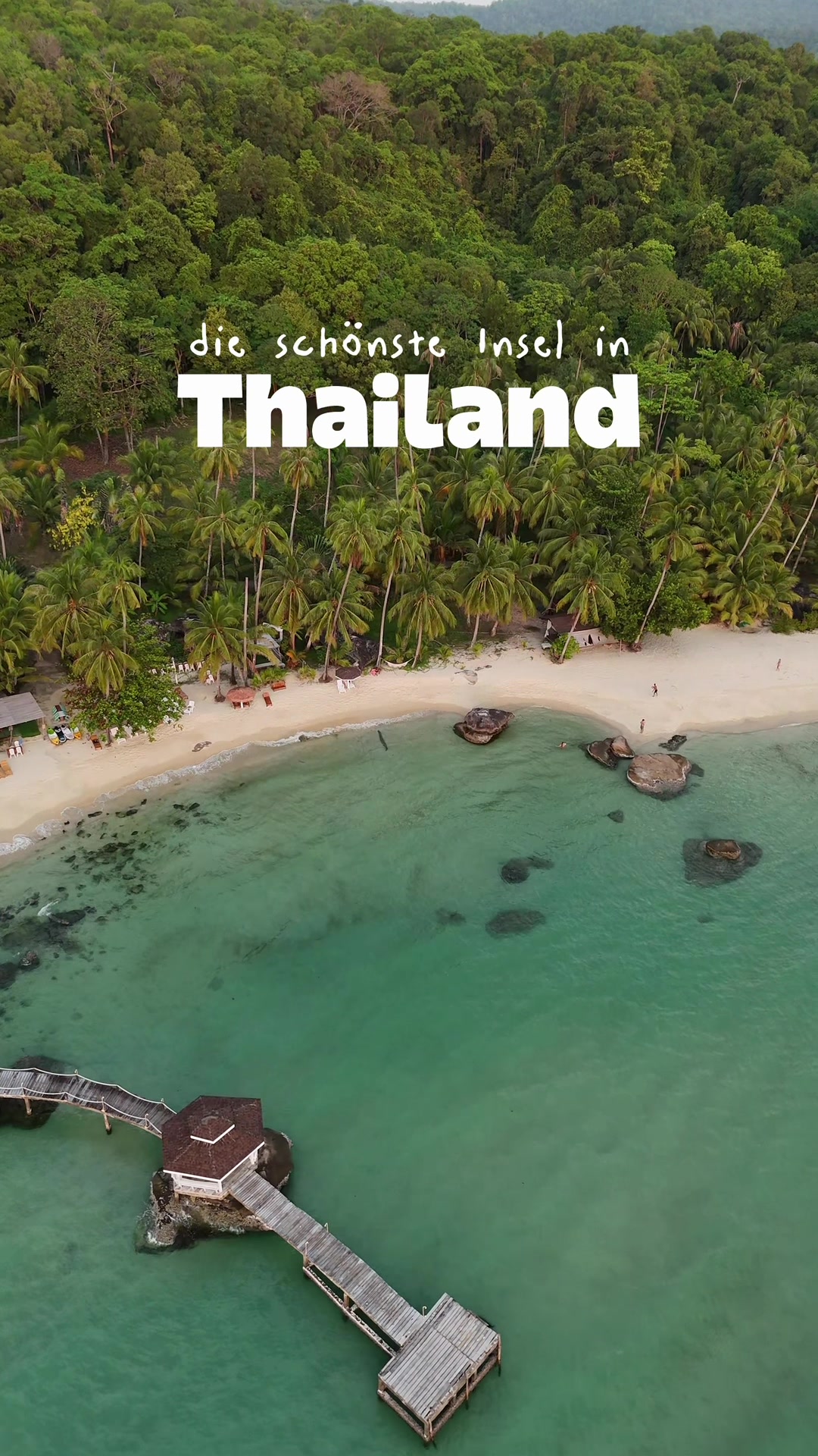 @Mineia 🌺 vegan travel