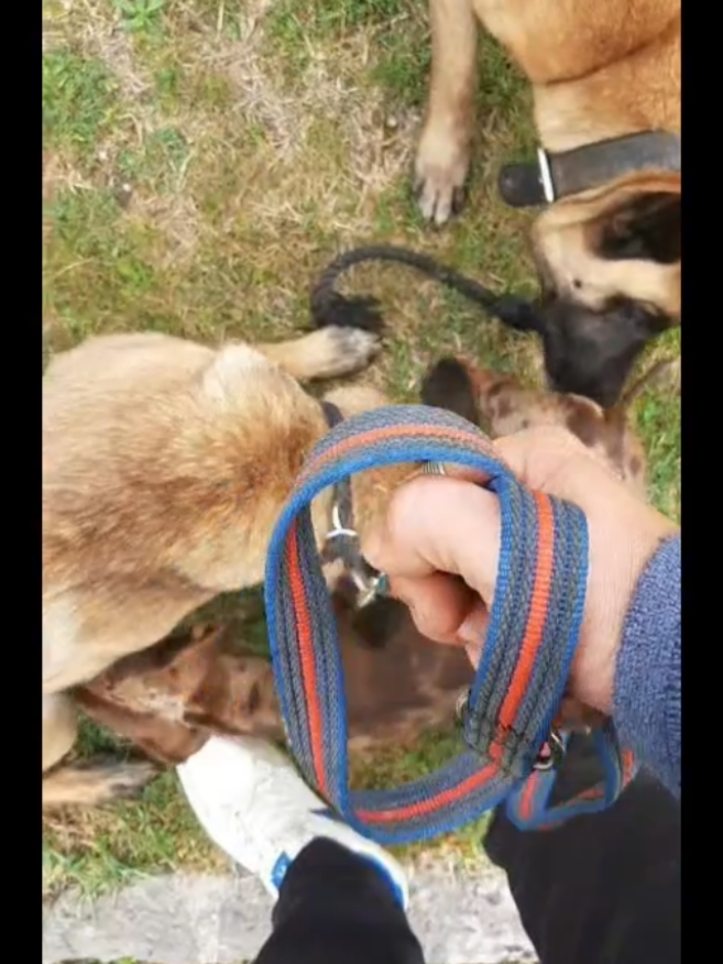@Malinoirist Bootcamp