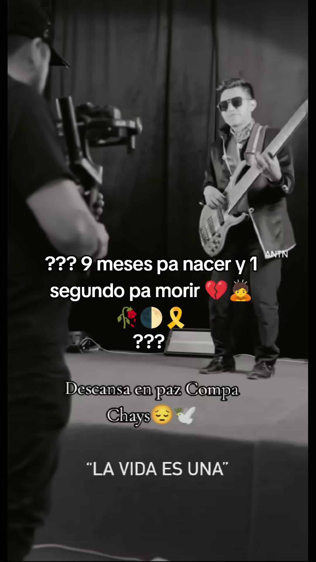 @el🐼CHACALITO 🐼🎹👑🫰🇬🇹🇺🇸