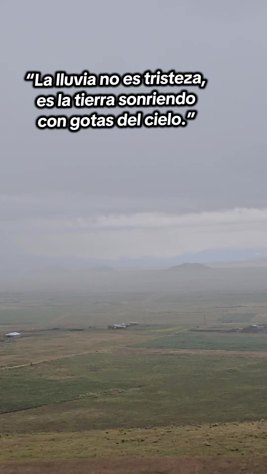 @rickyricon_gt