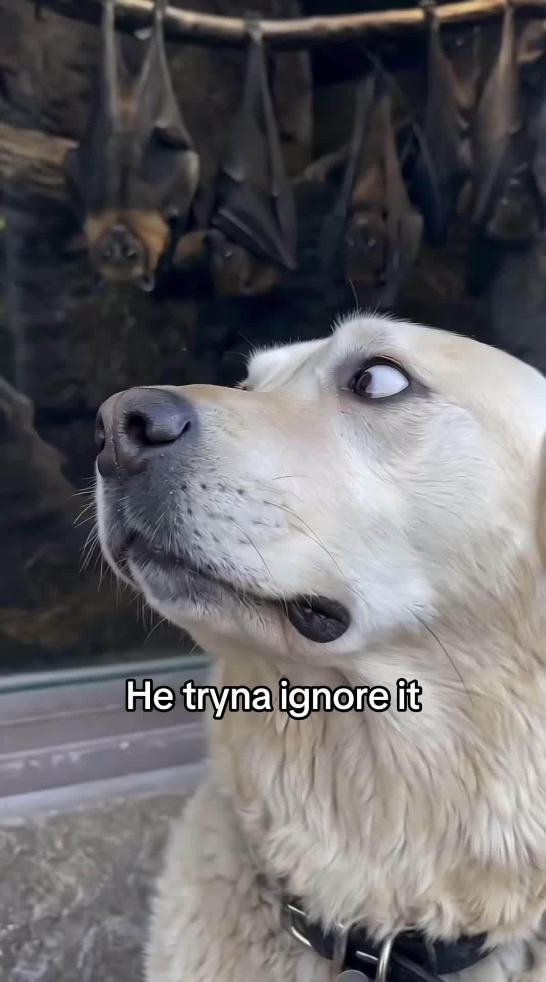 @Tim