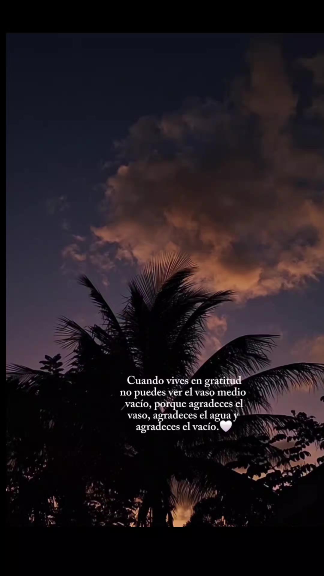 @🌠Joĥaŋa🇲🇽🕷