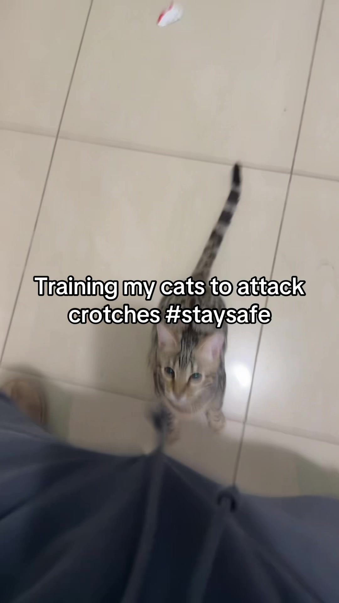 @Chaoscore