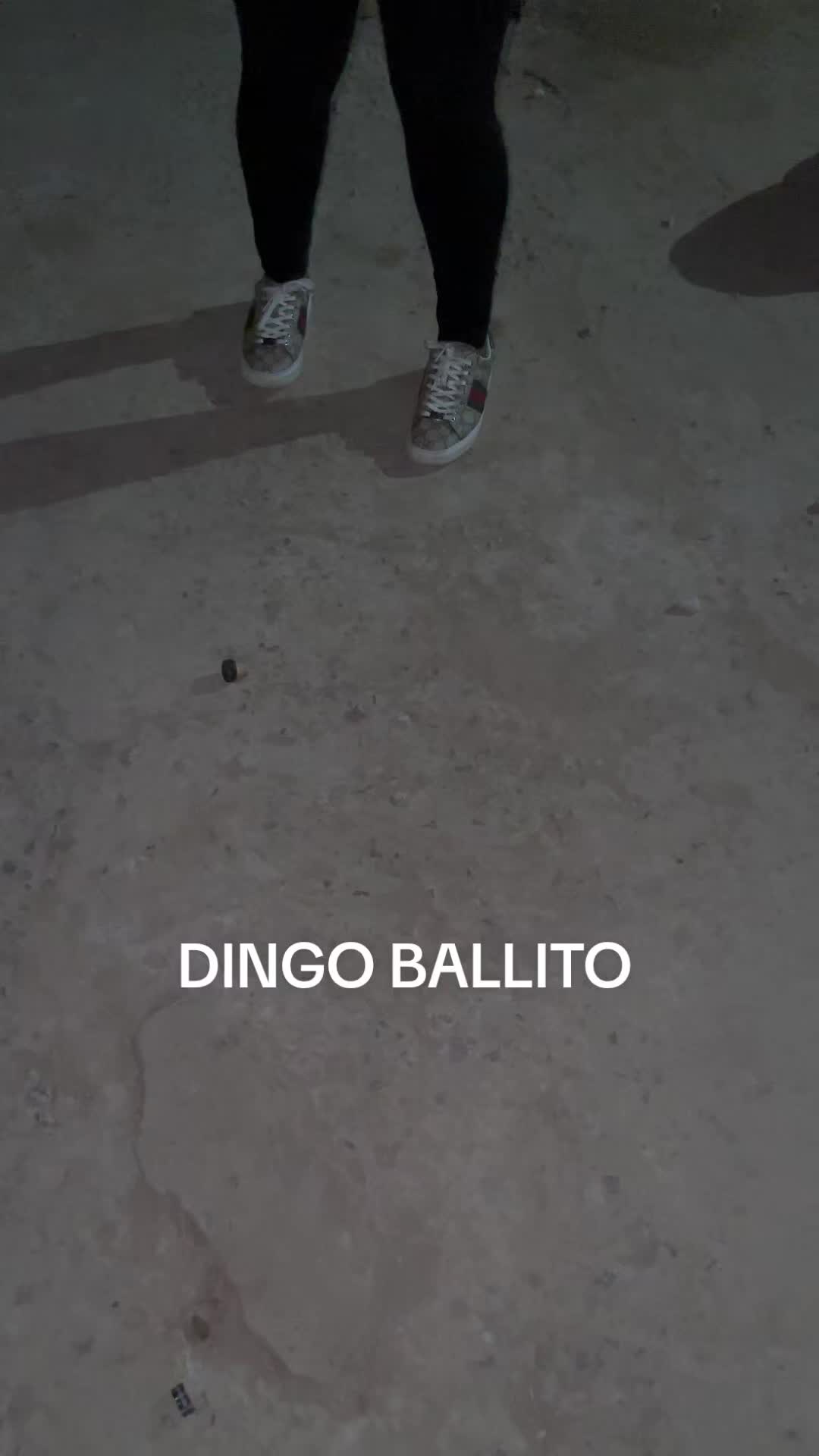 @Mr Dingo