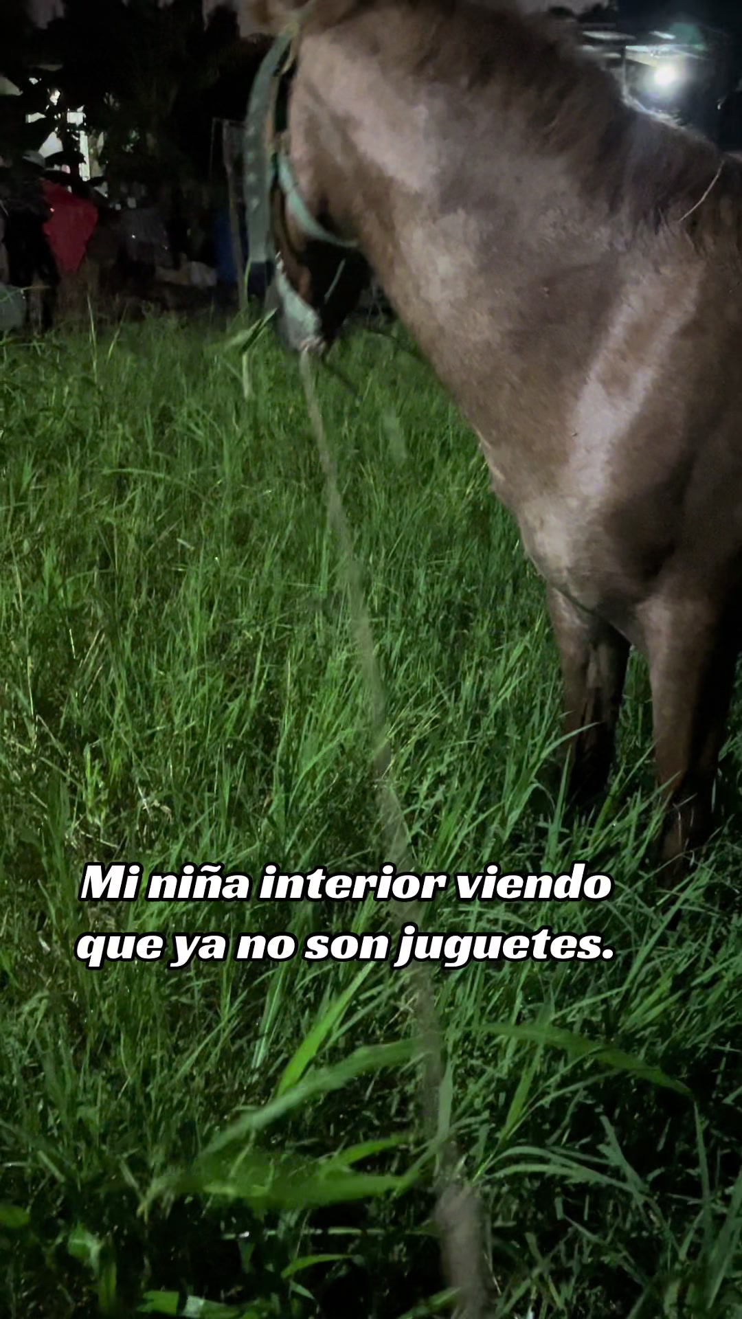 @MILAGROS 🌸