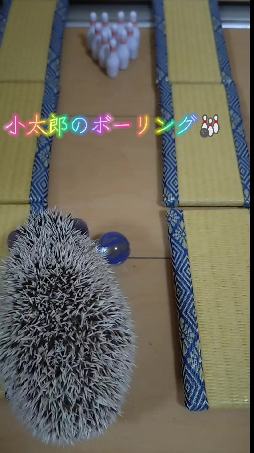 @ðŠãã«ããðŠ