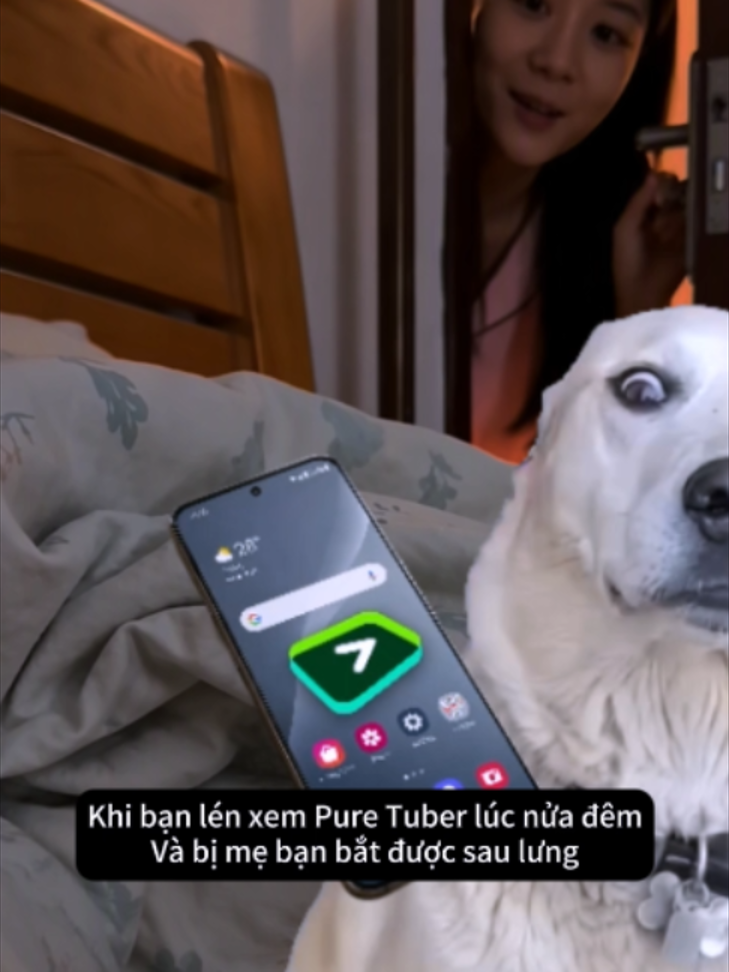 @Pure Tuber Vietnam