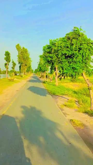 @Muhammad Akhter