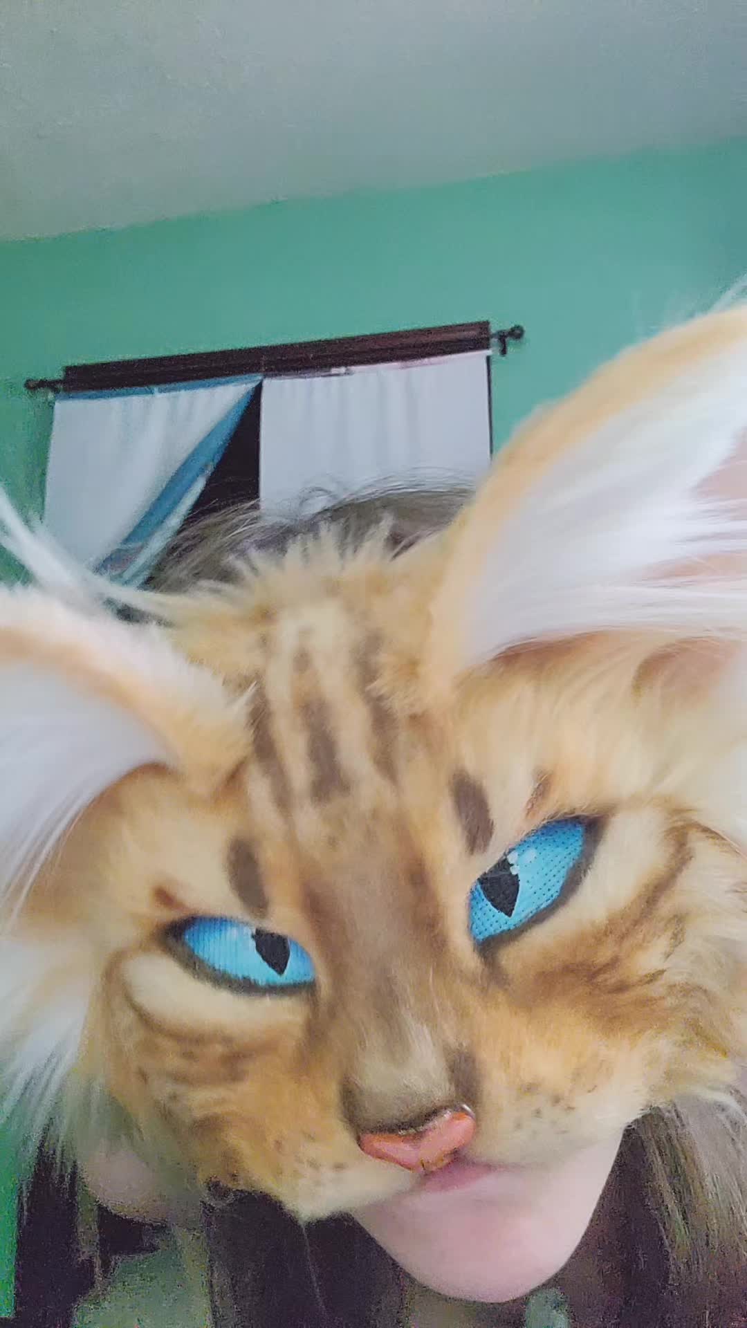 @♡Vix♡