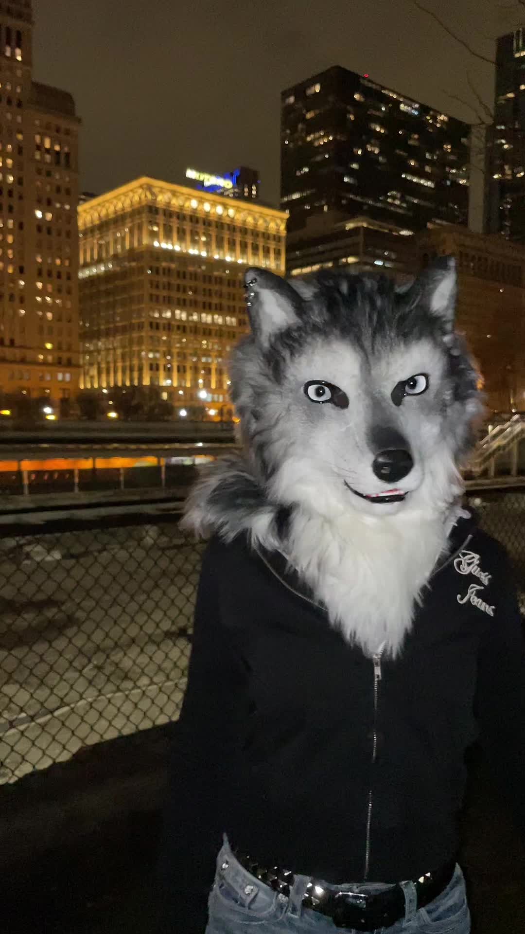 @derpykitten