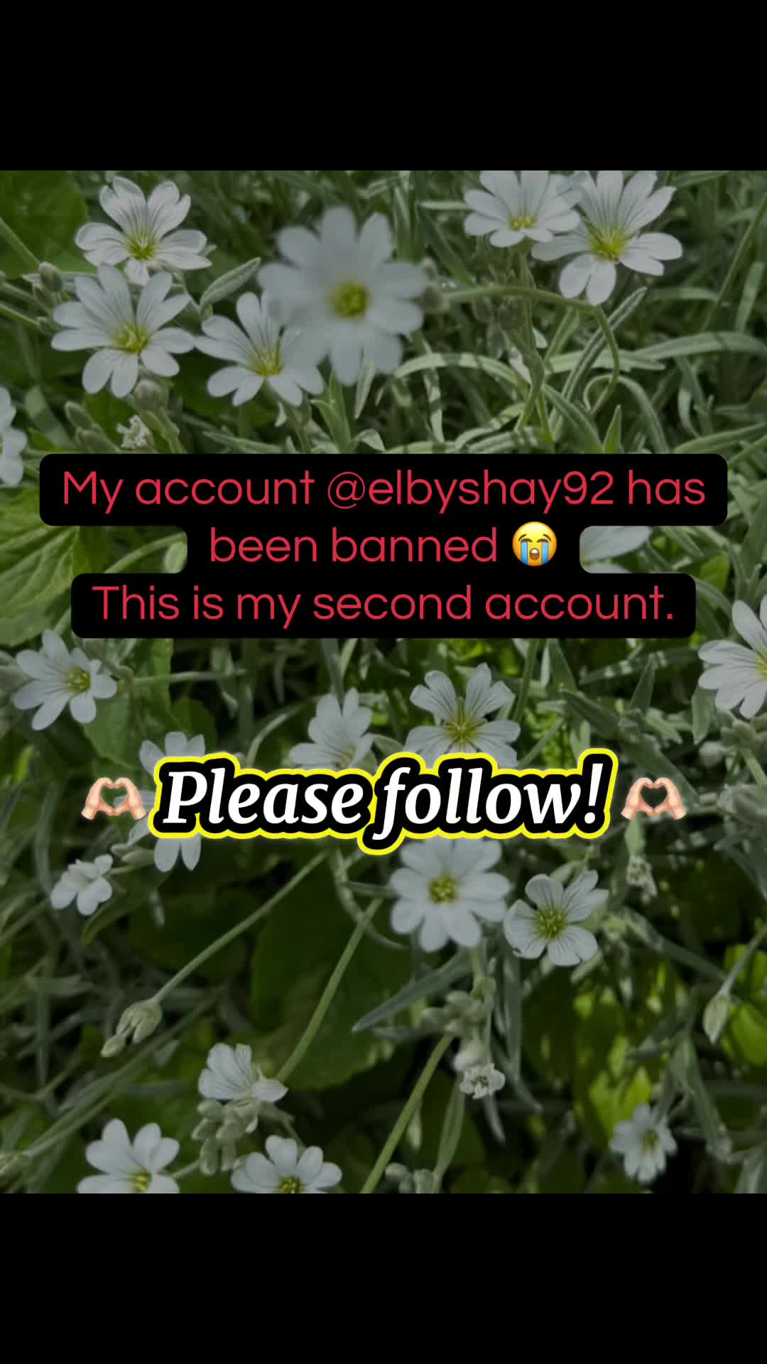 @ElbyShay92