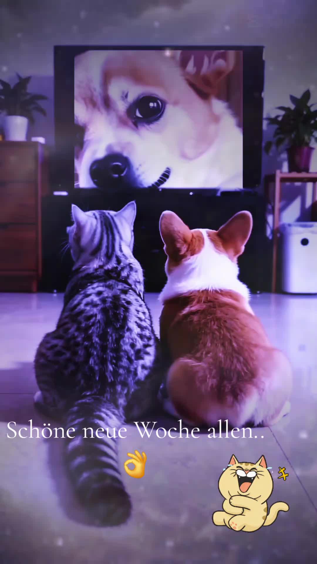 @Zweihorn