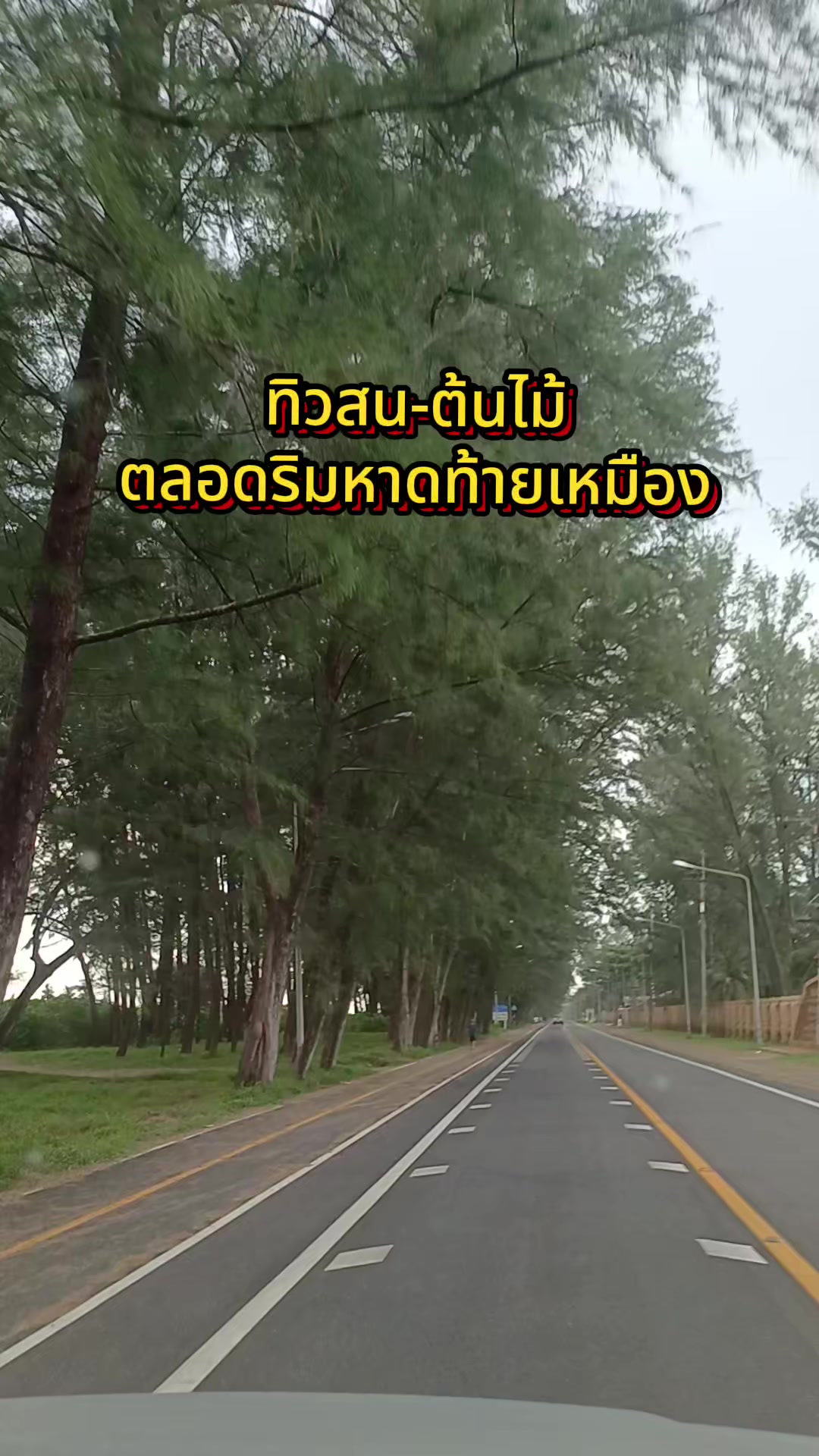 @🌳 BongAoy 🌳