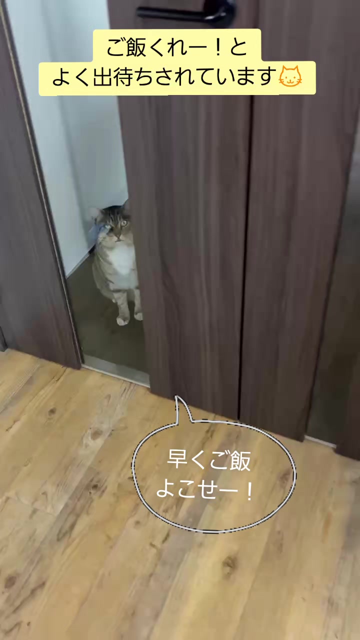 @【公式】株式会社真宮|三重
