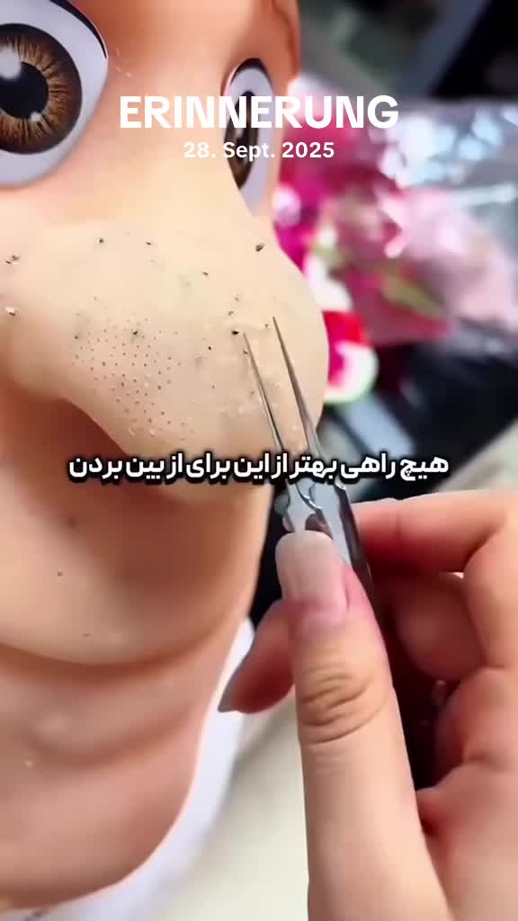 @bavar__kasit__1